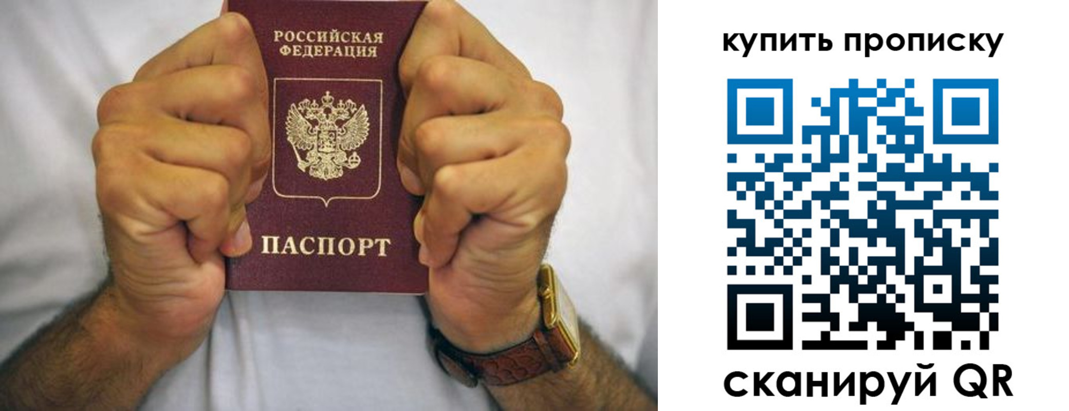 пропишу в квартире в Ермолино